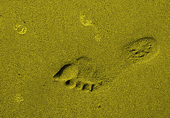 Piedaj sablopremaĵoj - Fußabdrücke im Sand