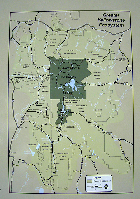 Yellowstone Area Map (3736)