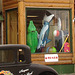 Brighton.  Vermont /  USA - États-Unis.   23 mai 2009- Ruger store window