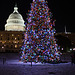 07.ChristmasTree.USCapitol.WestLawn.WDC.23December2009