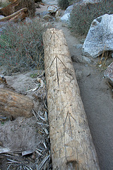Borrego Palm Canyon Trailmarker (3380)