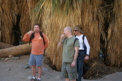 Borrego Palm Canyon Oasis (3337)