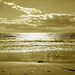 Deserted beach / Plage déserte -  Maine, USA -  11 octobre 2009 -Sepia - Création Krisontème avec tache frottée.
