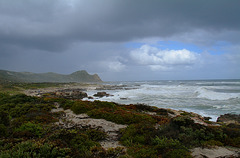 Cape of Good Hope, RSA