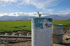 Irrigation in Thermal (2899)