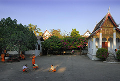Monks in the yard of Wat Pa Phai