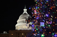 ChristmasTree.USCapitol.WestLawn.WDC.23December2009