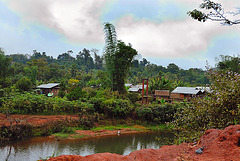 Other unknown village in the middle of the jungle