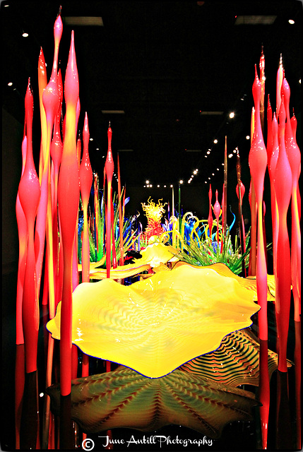 Chihuly Sculptures (9)