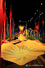 Chihuly Sculptures (14)