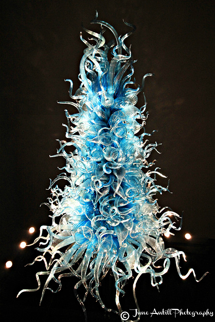 Chihuly Sculptures (12)