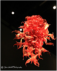 Chihuly Sculptures (10)