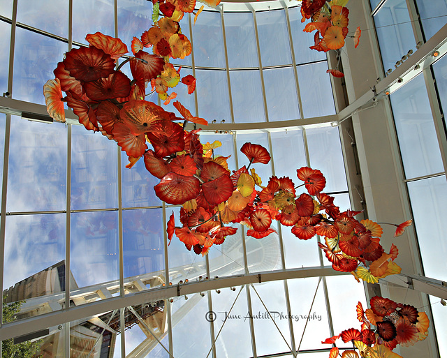 Chihuly Sculptures (16)