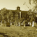 The Eastern cemetery  /  Portland, Maine USA -  11 octobre 2009 - Sepia