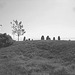 The Eastern cemetery  /  Portland, Maine USA -  11 octobre 2009 - Version éclaicie en noir et blanc