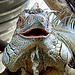 20090618 0531DSCw [D~OS] Grüner Leguan (Iguana iguana), Zoo Osnabrück
