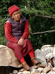 Tibeterin