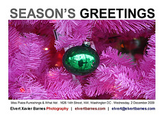 SeasonsGreetings2009.HolidayWindows.Pixies1a.DC.2December2009.