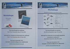 The School of Sea, Workshops in November