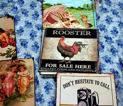 Rooster for sale here