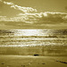 Deserted beach / Plage déserte -  Maine, USA -  11 octobre 2009 -Sepia