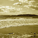 Deserted beach / Plage déserte -  Maine, USA -  11 octobre 2009 - Sepia