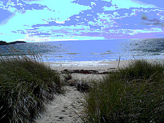 Deserted beach / Plage déserte -  Maine, USA -  11 octobre 2009  - Changement de couleurs et postérisation