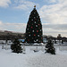 12.NationalChristmasTree.Ellipse.WDC.22December2009