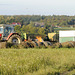Herbstspaziergang im Odenwald - ein Bauer vernichtet seine Überproduktion