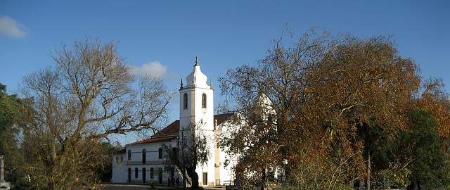 Sanctuary of Bom Jesus do Carvalhal (2)