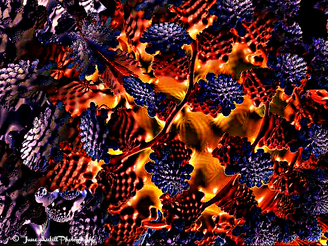 A blanket of blue {fractal}