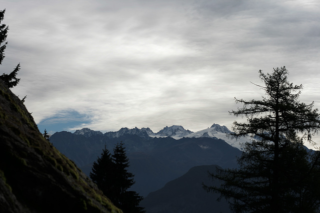 IMG 0952 IMG 0952