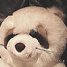 20050812 0012DSCw [D~LIP] Panda-Bär, Bad Salzuflen