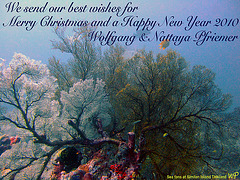 New Year greetings 2010