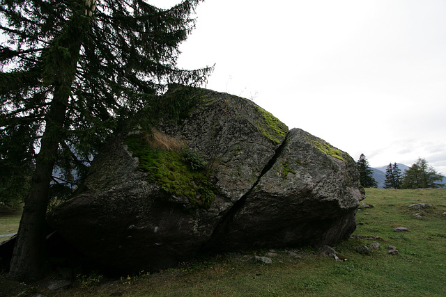 IMG 1012 IMG 1012