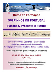 The School of Sea, Course on Dolphins of Portugal - Past, Present & Future