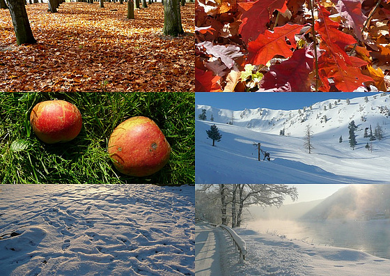 Herbst - Winter