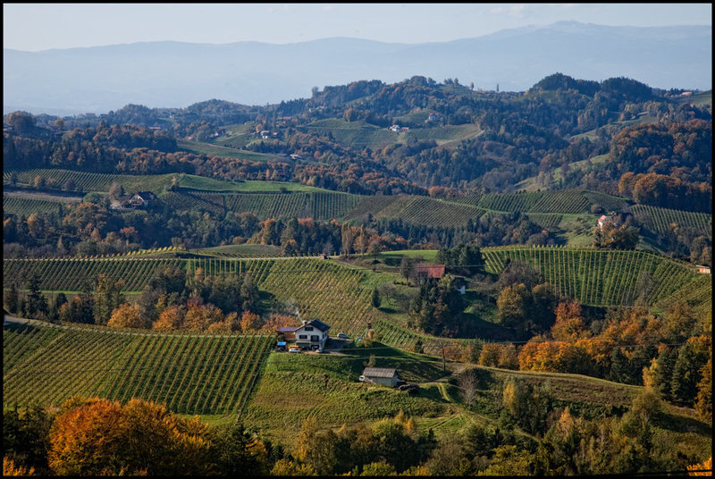 the hills of southern Styria....