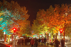 Festival of lights 2009050