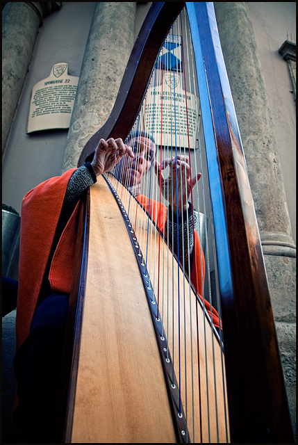 the harpist