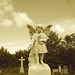 Ange funéraire /  Funeral angel - 12 juillet 2009  - Sepia