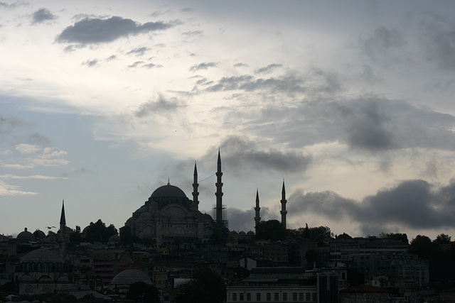 IMG 0318 IMG 0318