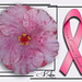 Pink tropical hibiscus, BCA ribbon