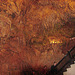 20060129 010DSCw [TR] Damlatas-Grotte, Alanya