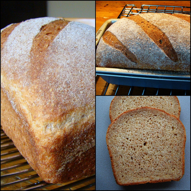 All-Purpose Whole Wheat Bread
