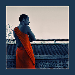 the blue-orange monk