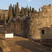 20060130 039DSCw [TR] Hierapolis