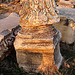 20060130 058DSCw [TR] Hierapolis