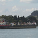 'Opalin' Passing Linz am Rhein