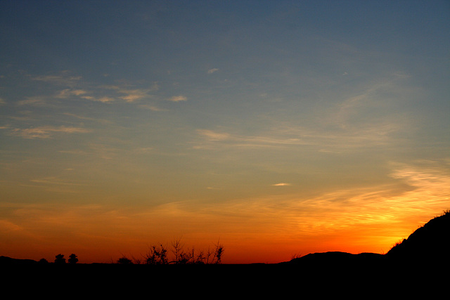 Dawn Seen From Borrego Palm Canyon Campground (3158)
